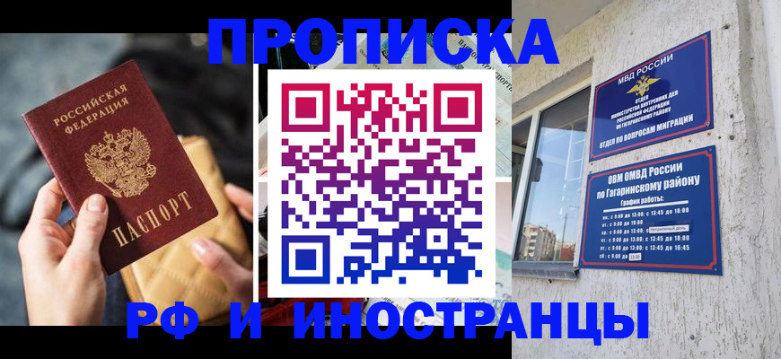 временная регистрация поиск в Невеле